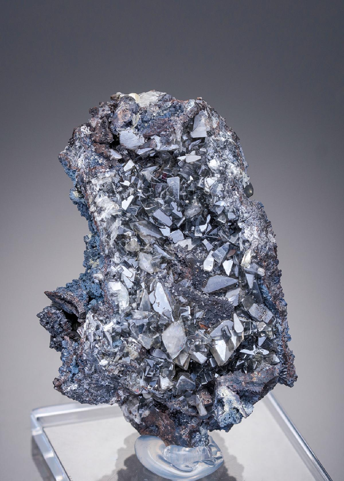CC29839 specimen image