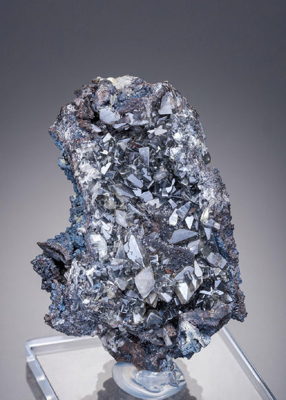 CC29839 specimen image