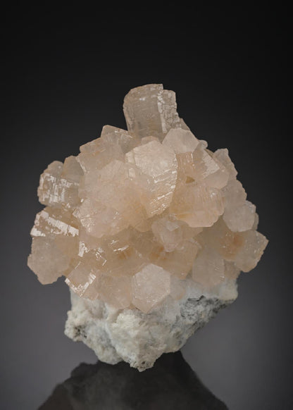 CC29845 specimen image