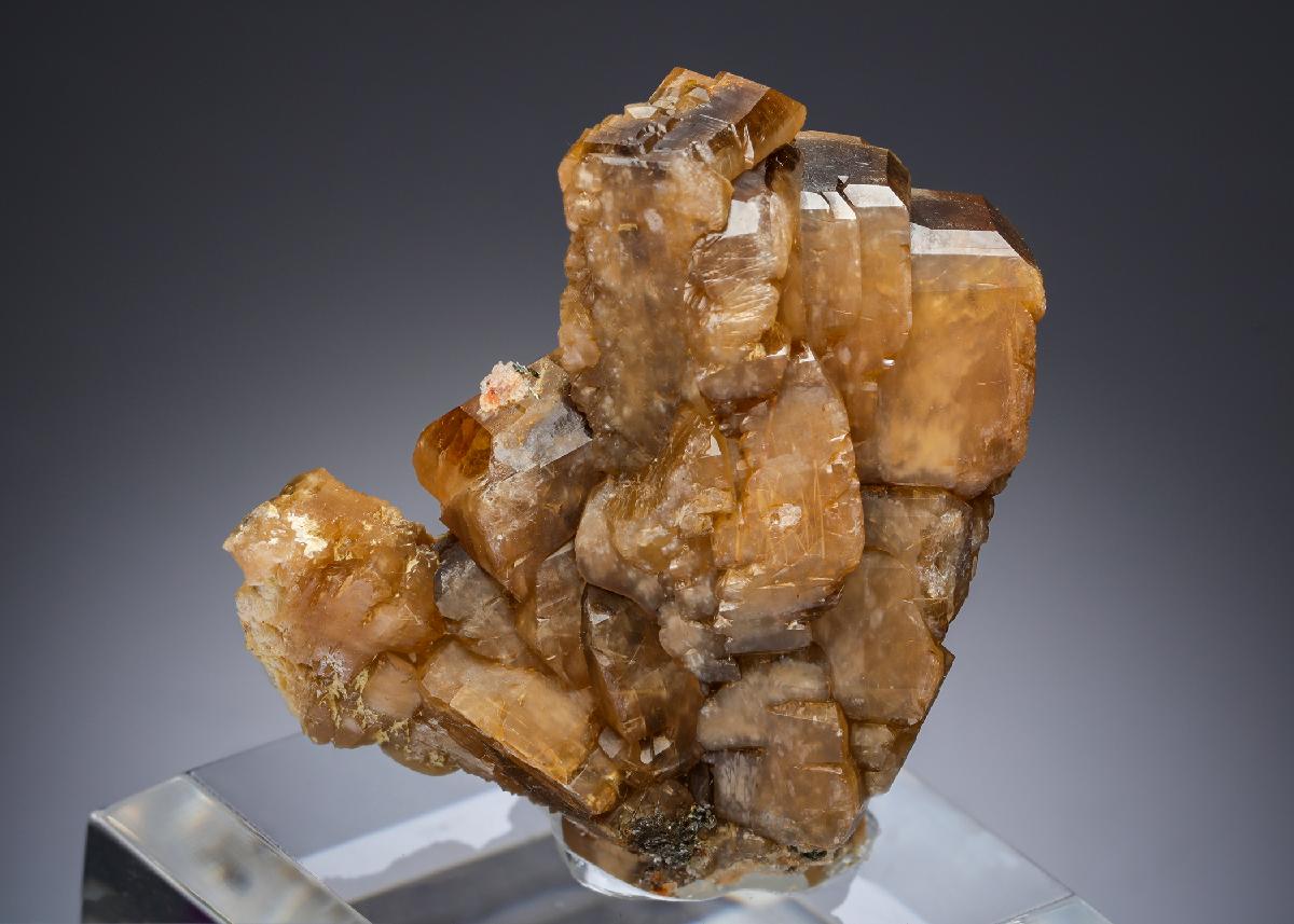 CC29849 specimen image