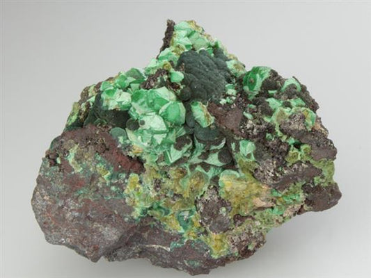 CC2985 specimen image