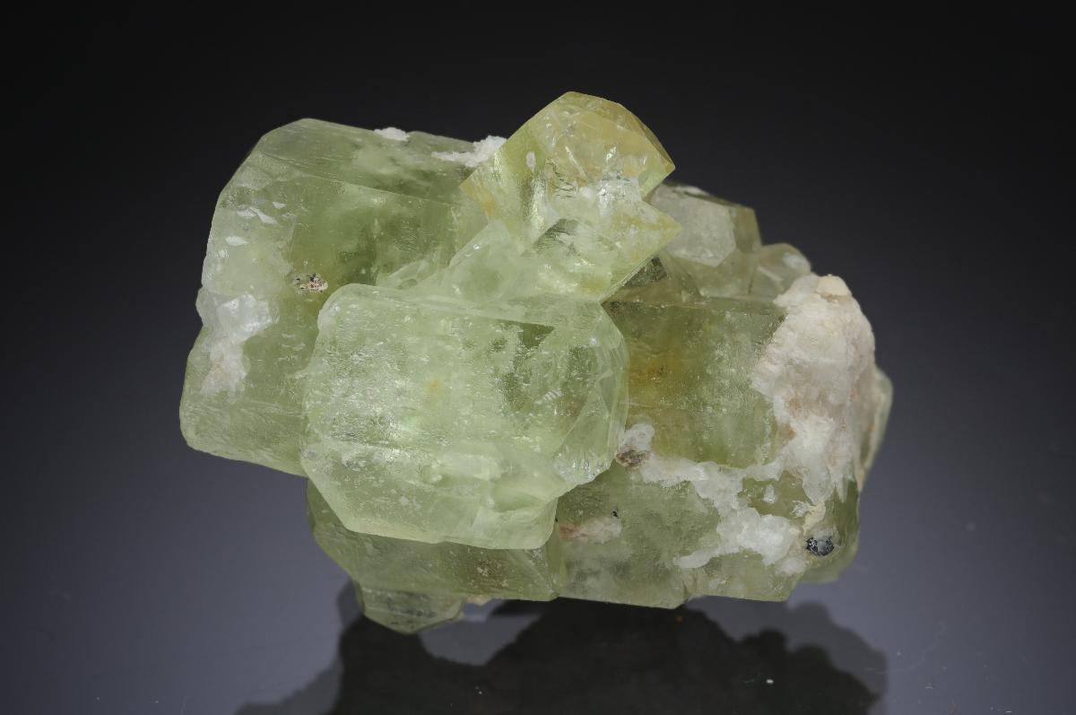 CC29875 specimen image