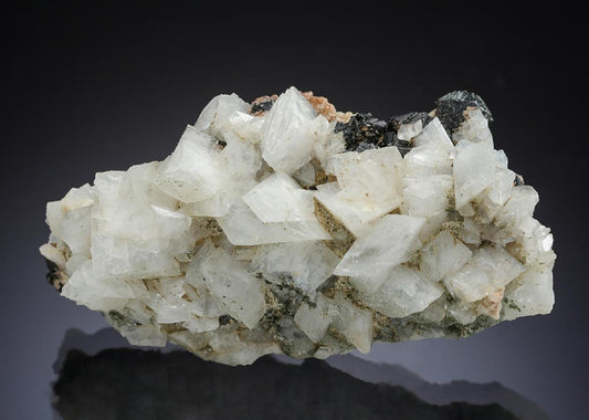 CC29883 specimen image