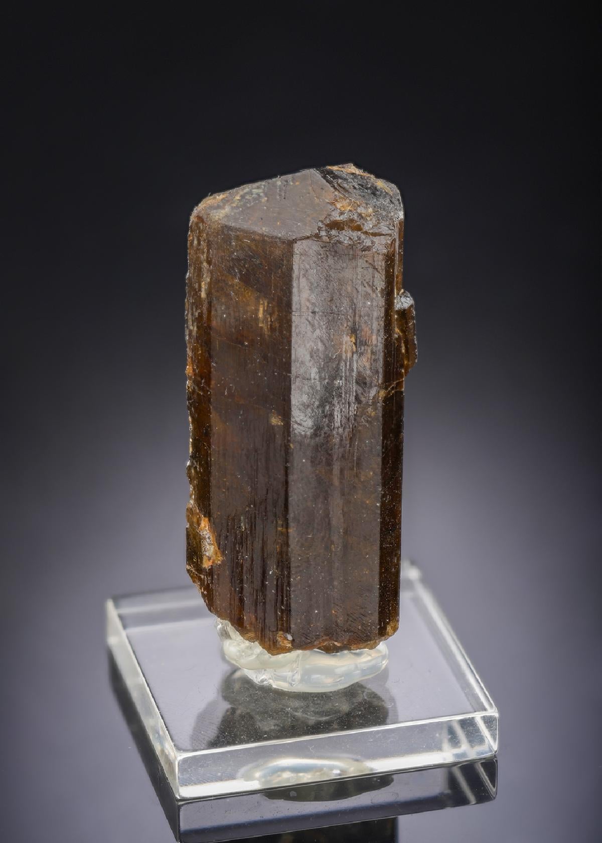 CC29893 specimen image