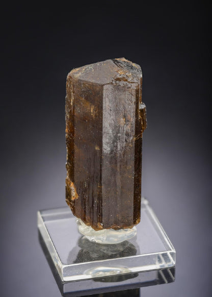 CC29893 specimen image