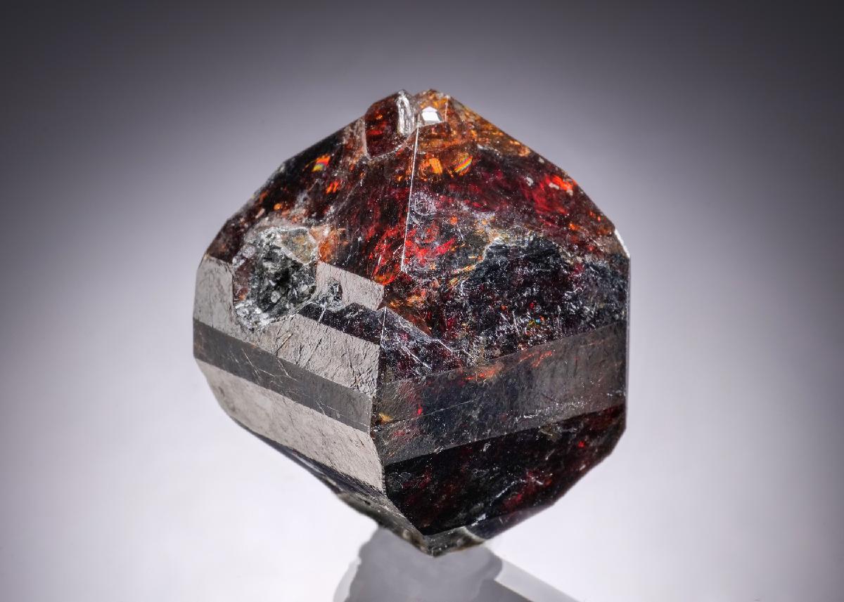 CC29899 specimen image