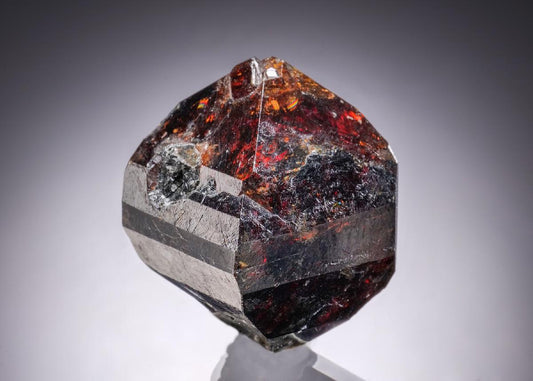 CC29899 specimen image