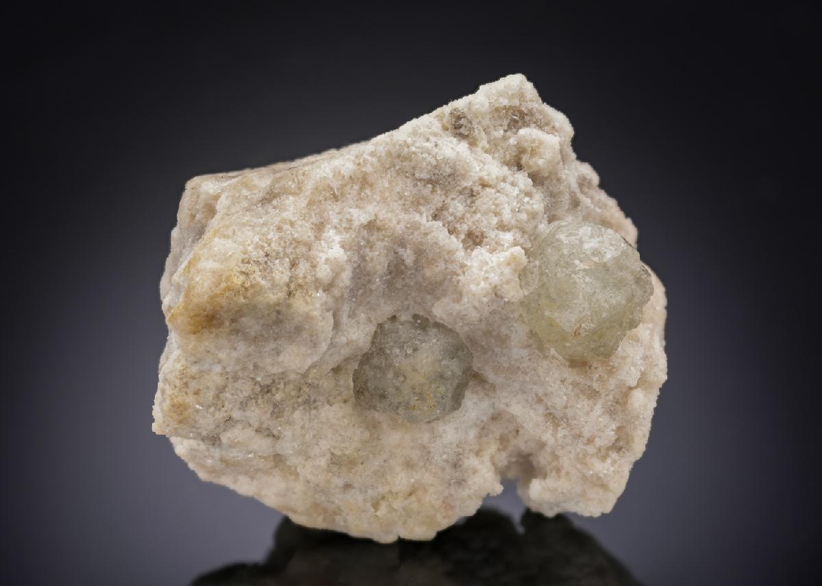 CC29903 specimen image