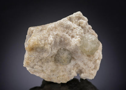 CC29903 specimen image