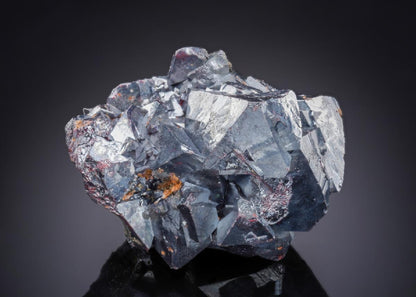 CC29907 specimen image
