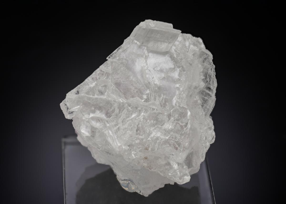 CC29913 specimen image