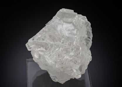 CC29913 specimen image