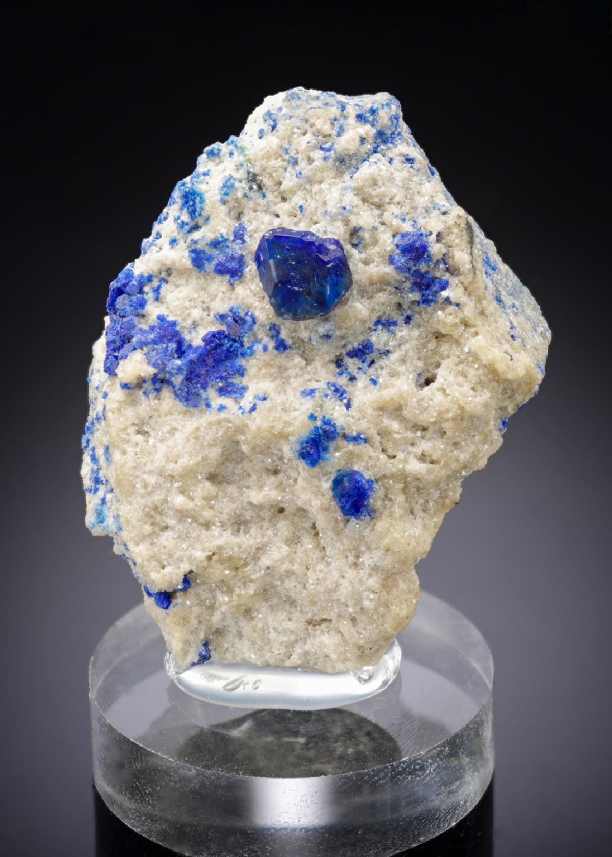 CC29915 specimen image