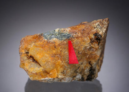 CC29933 specimen image