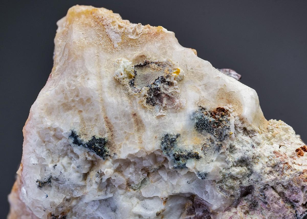 CC29945 specimen image