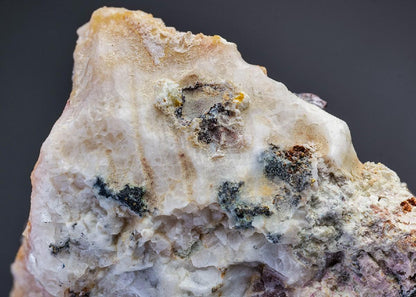 CC29945 specimen image