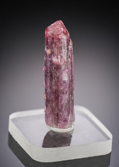 CC29967 specimen image
