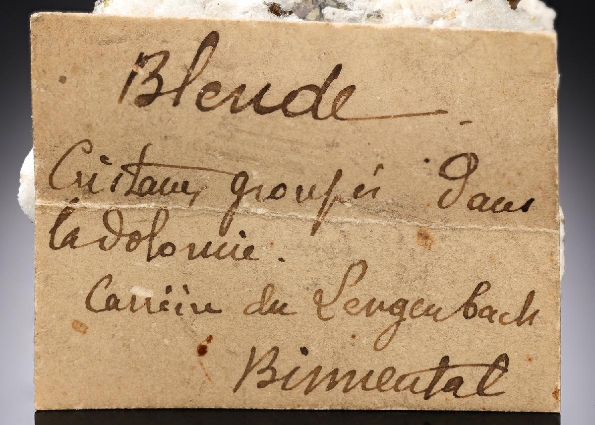 CC29977 specimen image