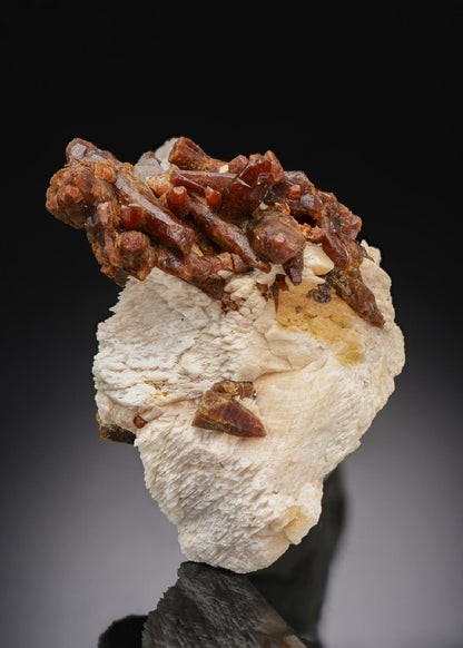 CC29979 specimen image