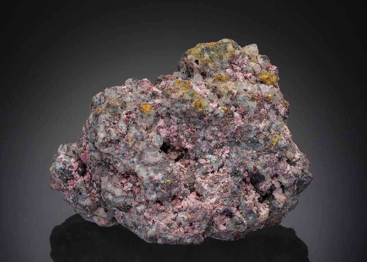 CC29995 specimen image