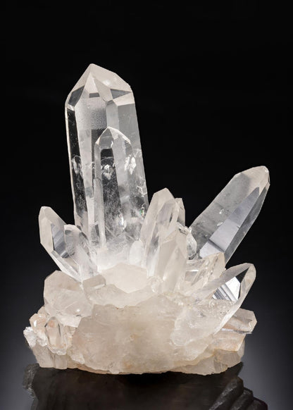 CC30027 specimen image
