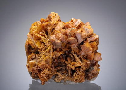 CC30049 specimen image