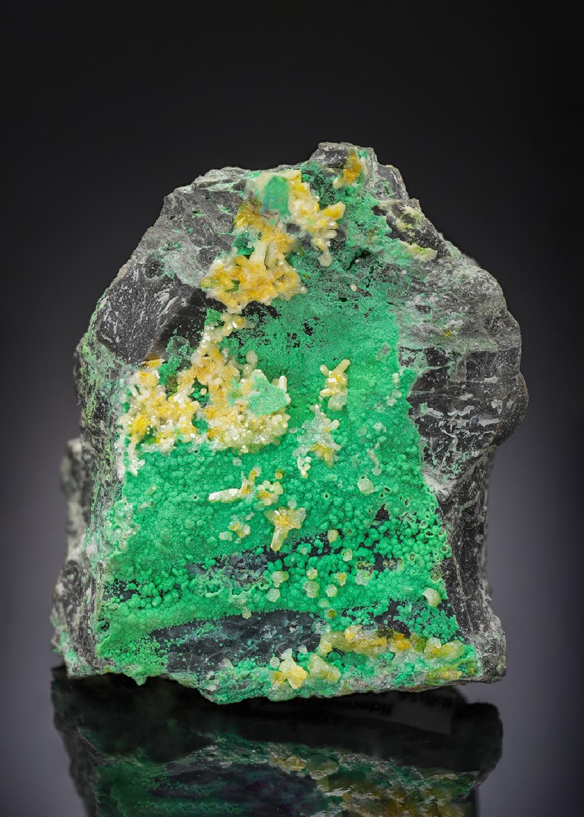 CC30071 specimen image