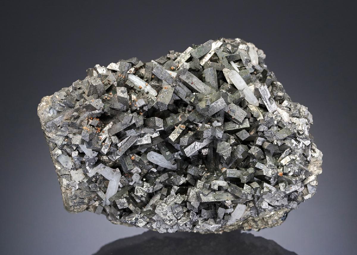 CC30087 specimen image