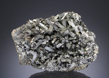 CC30087 specimen image