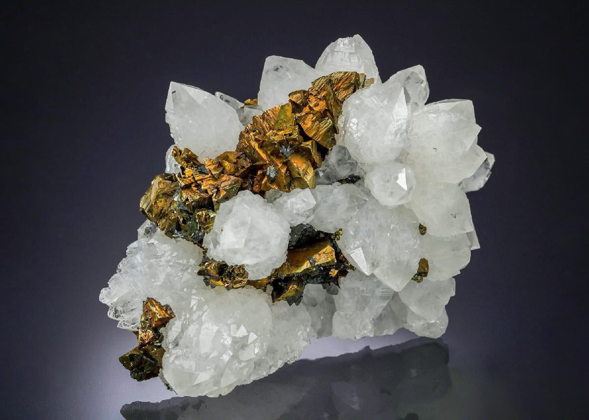 CC30109 specimen image