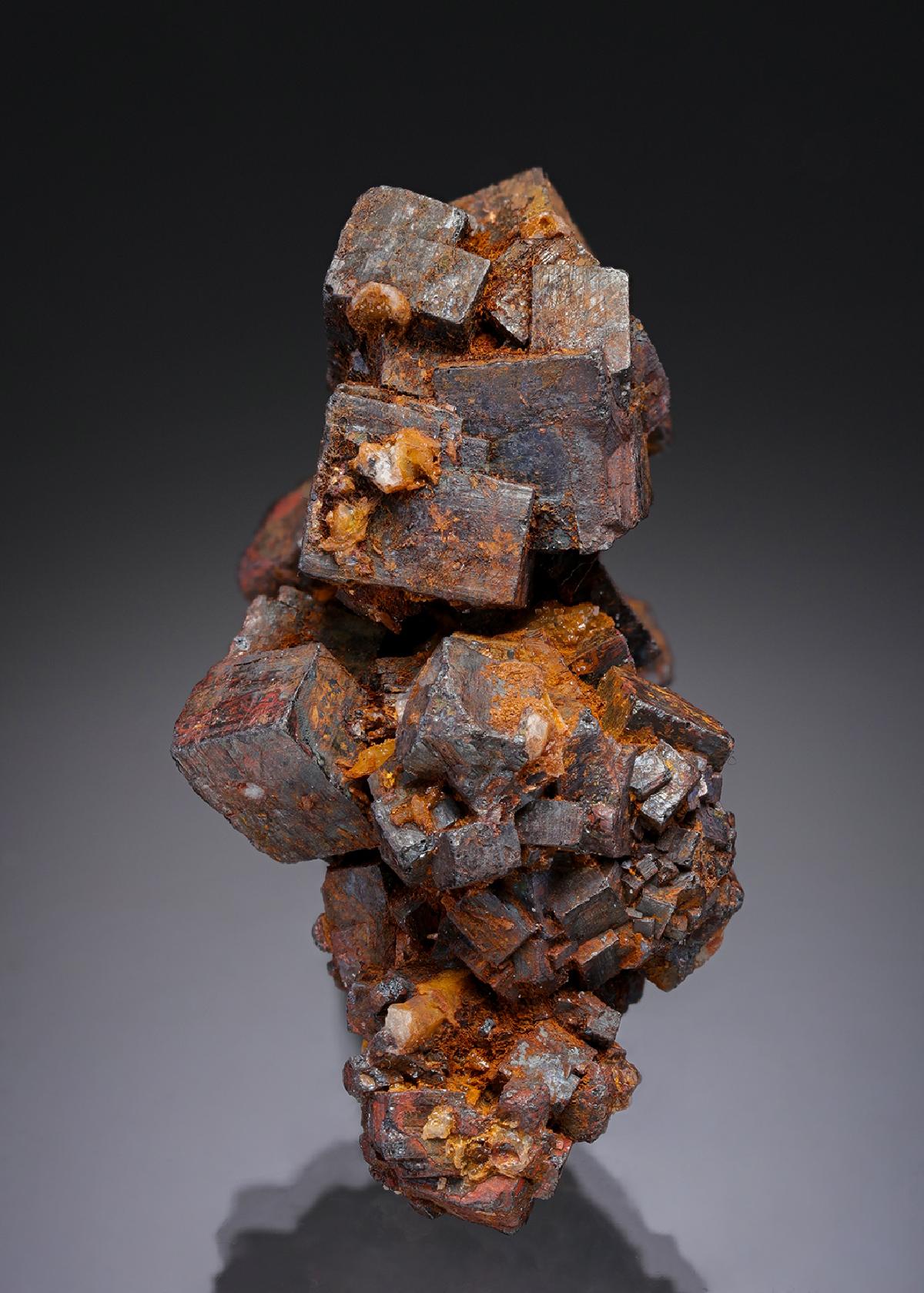 CC30159 specimen image