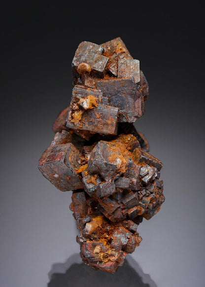 CC30159 specimen image