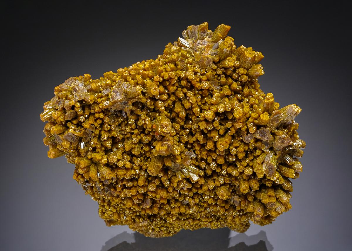 CC30163 specimen image