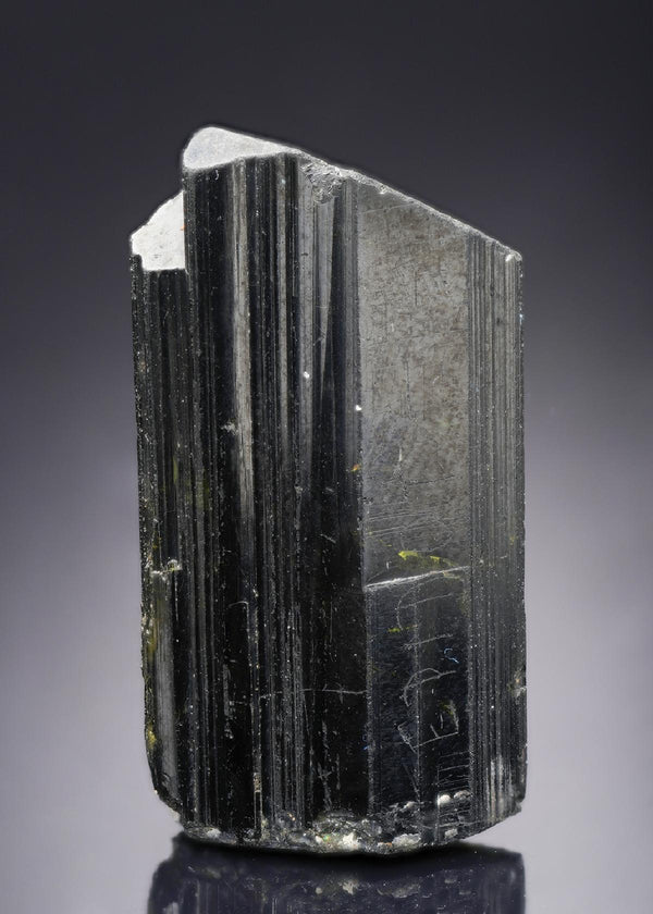 CC30173 specimen image