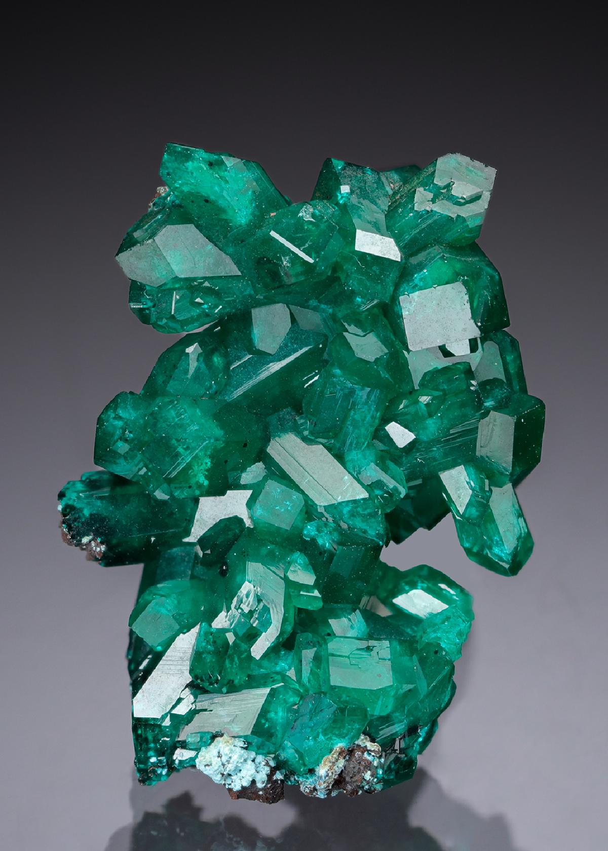 CC30193 specimen image