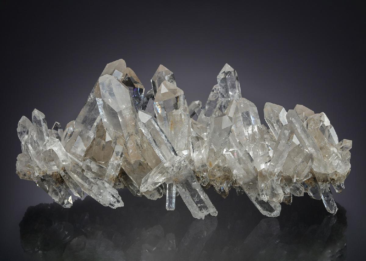 CC30283 specimen image