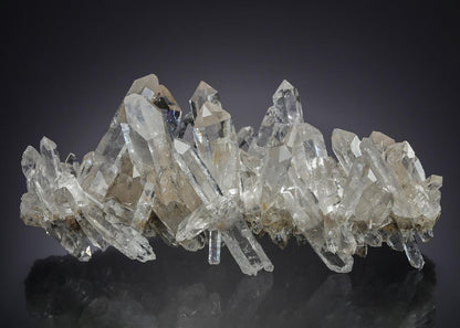CC30283 specimen image