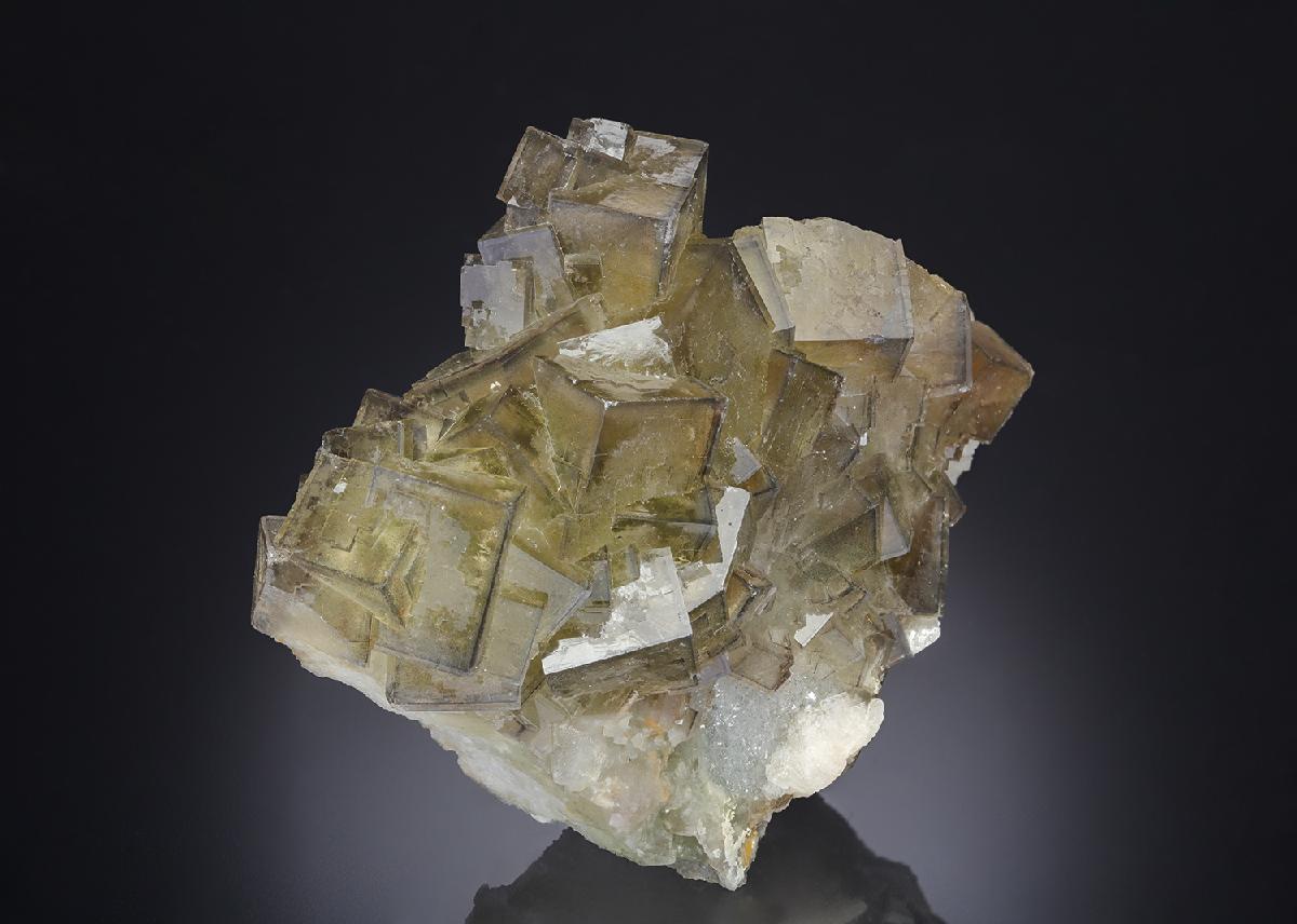 CC30287 specimen image