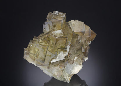 CC30287 specimen image