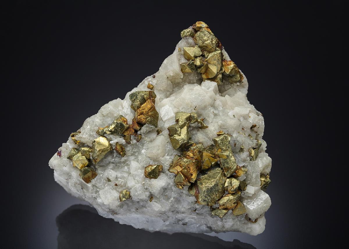 CC30297 specimen image