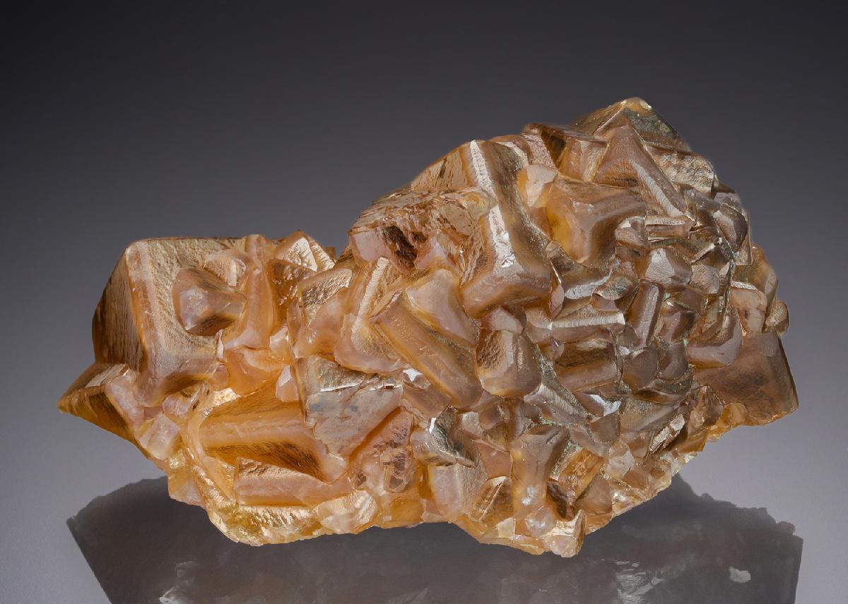 CC30313 specimen image