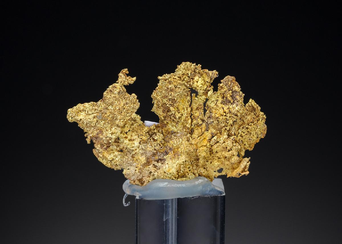 CC30349 specimen image