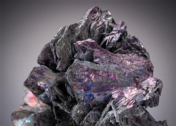 CC3035 specimen image