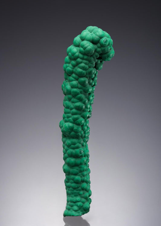 CC30373 specimen image