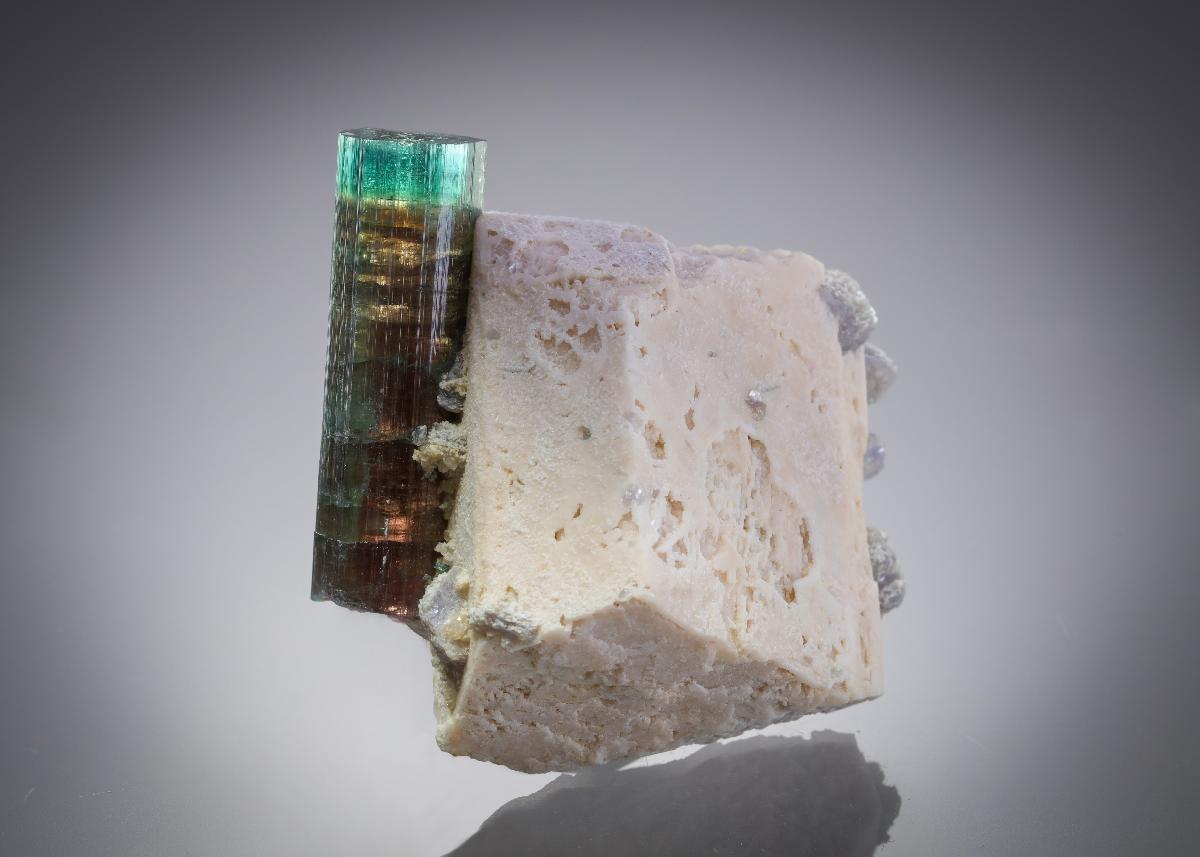 CC30375 specimen image