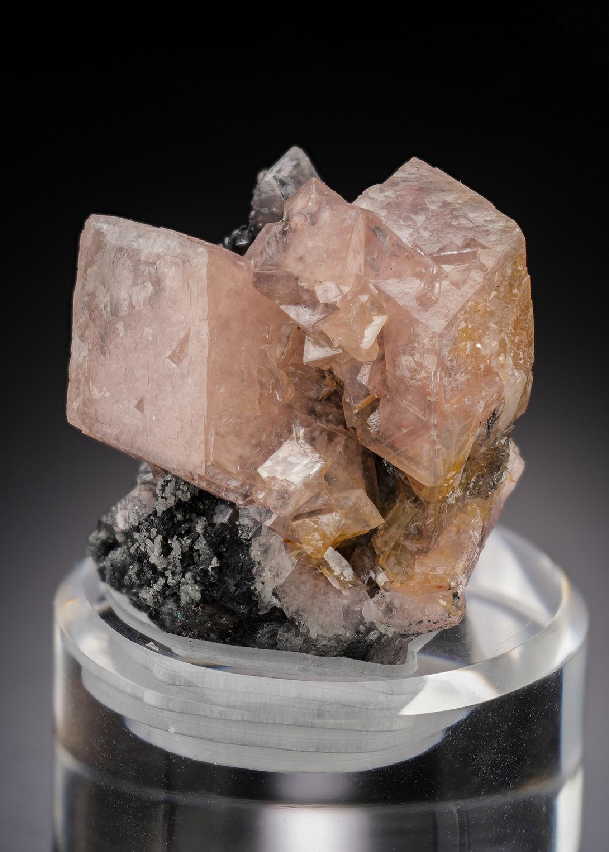 CC30383 specimen image
