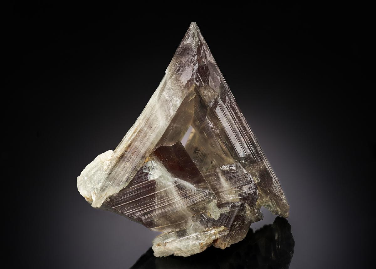 CC30389 specimen image