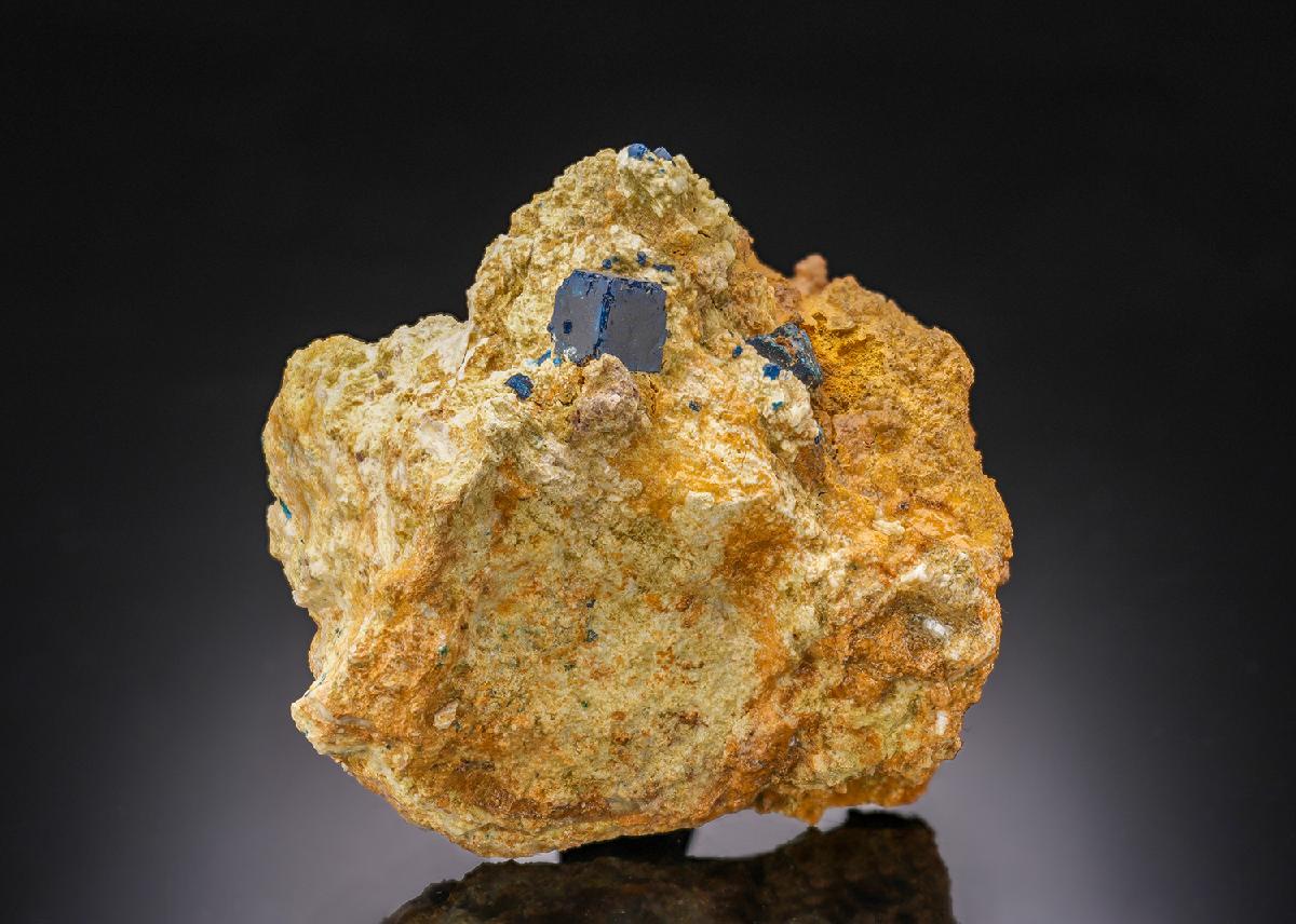 CC30395 specimen image