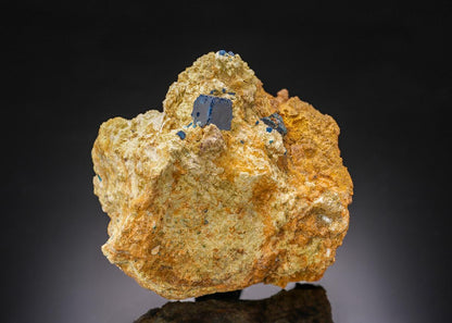 CC30395 specimen image