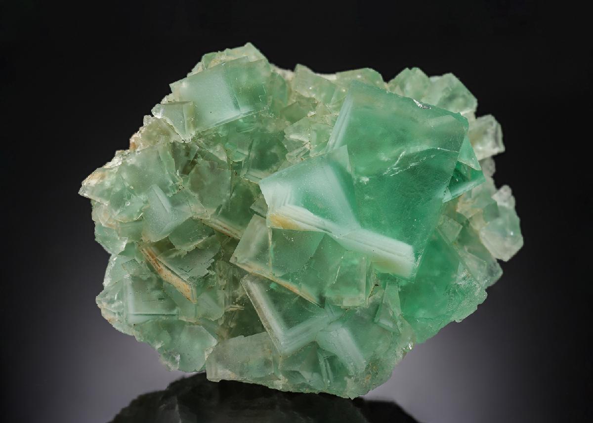 CC30403 specimen image